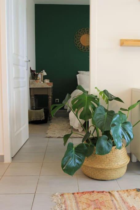 Péret Cosy Appartement Entre Vignes Et Garrigue Avec Piscine מראה חיצוני תמונה